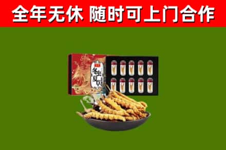 陇南烟酒回收冬虫夏草礼盒.jpg